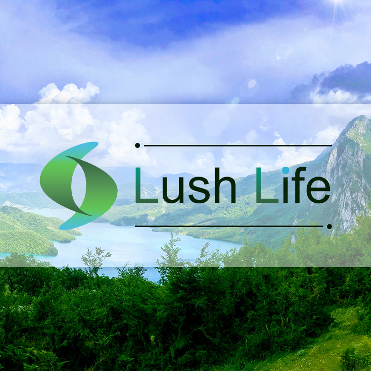 公式 芦屋駅徒歩6分 Lush Life ラッシュライフ